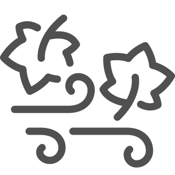 Cycle, daytime, leaves icon