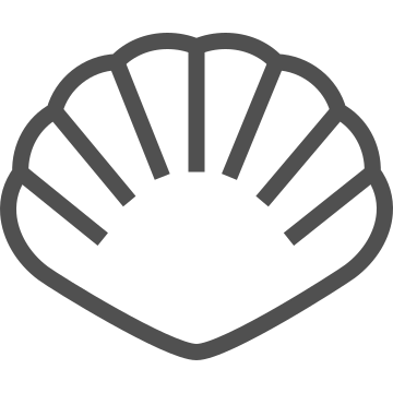 Bivalve, clam, food icon