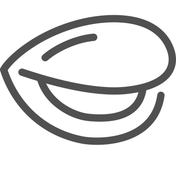 Clam, food, marine cuisine icon