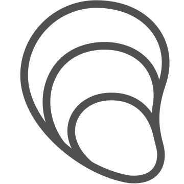Clam, food, marine icon