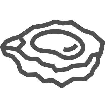 Bivalve, delicacy, food icon