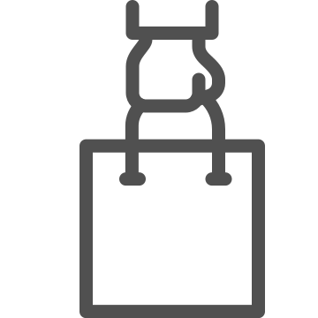 Bag, commerce, consumerism icon