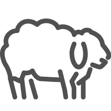 Bedtime, counting sheep, dream icon