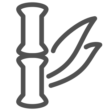 Aromatherapy, bamboo, massage icon