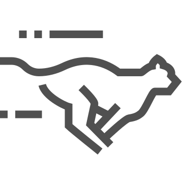 Dash, fast, motion icon