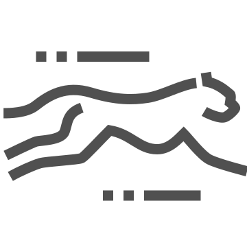 Fast, motion, movement icon