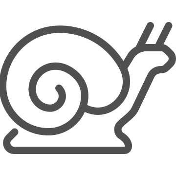 Animal, nature, shell icon