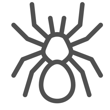 Animal, arachnid, eight-legs icon