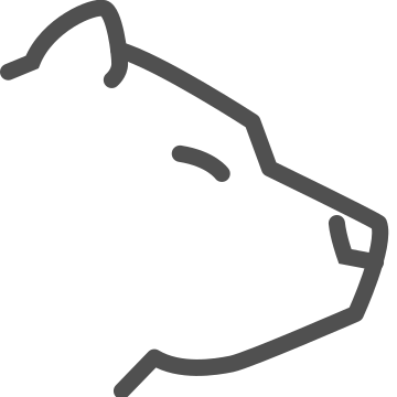 Bull, economic growth, finance icon