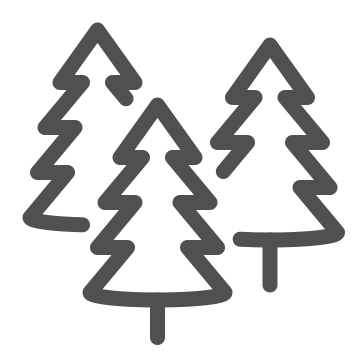 Camping, forest, hiking icon