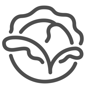 Green, healthy food, ingredient icon