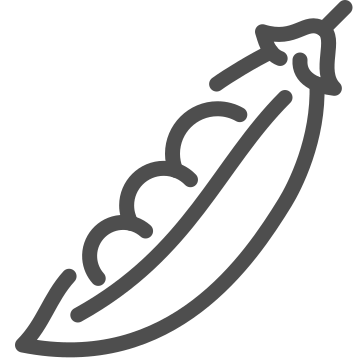 Food, fresh, garden icon