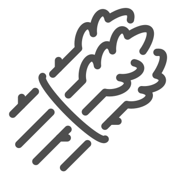 Agriculture, carrot, food icon