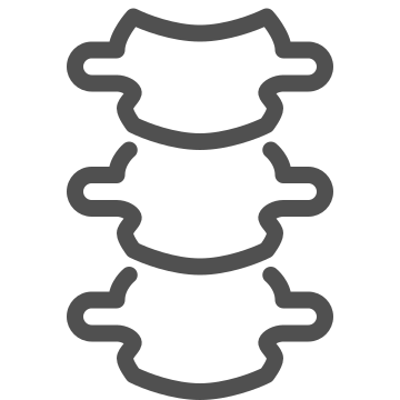 Anatomy, backbone, bones icon
