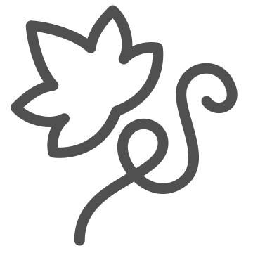 Agriculture, grape, vine icon