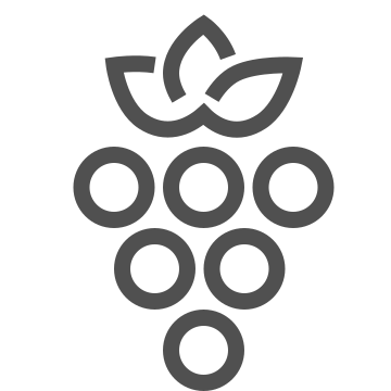 Alcohol, beverage, grapes icon