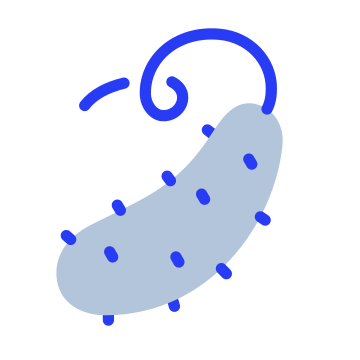 Pickle, cucumber, food icon