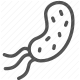 bacteria, bio, germ, microorganism, pathogen, prokaryote icon