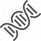 biology, chromosome, dna, double helix, gene, genetics, molecule icon