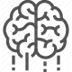 brain, cognition, intelligence, mental, performance, strategy, thought icon