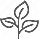 botanical, flora, garden, growth, leaf, nature, plant icon