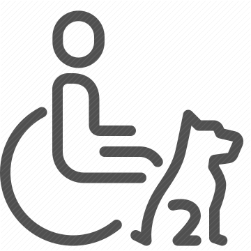 accessibility, assistance animal, disability aid, guide dog, pet assistance, service dog