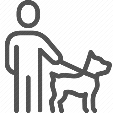 accessible, assistance animal, disability aid, guide dog, service dog, animal assistance