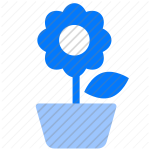 flower, plant, nature, blossom, petal, garden, flora, blooming, botany, leaf icon